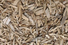 biomass boilers West Stow